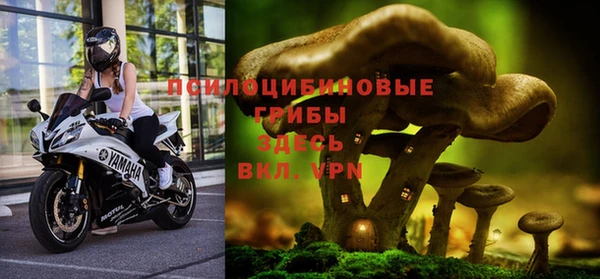 бошки Медногорск