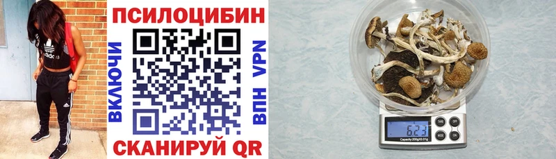 Галлюциногенные грибы мухоморы  Ладушкин 